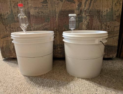 One Gallon Brewing Kits!