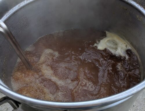 Homebrewing Basics Part 3: What is the Brewing Process?